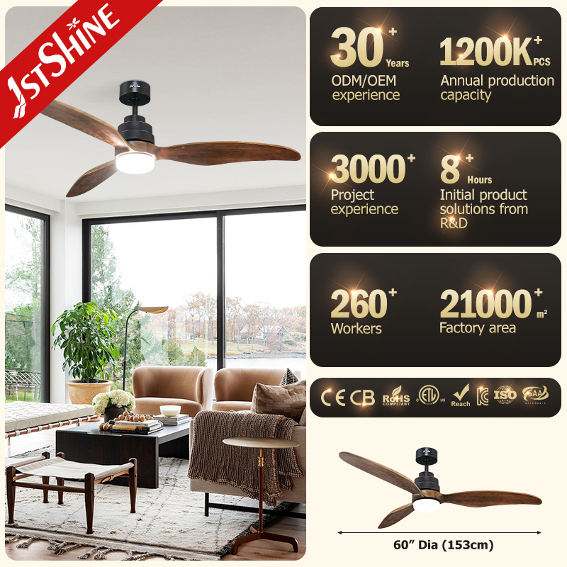 ceiling fan