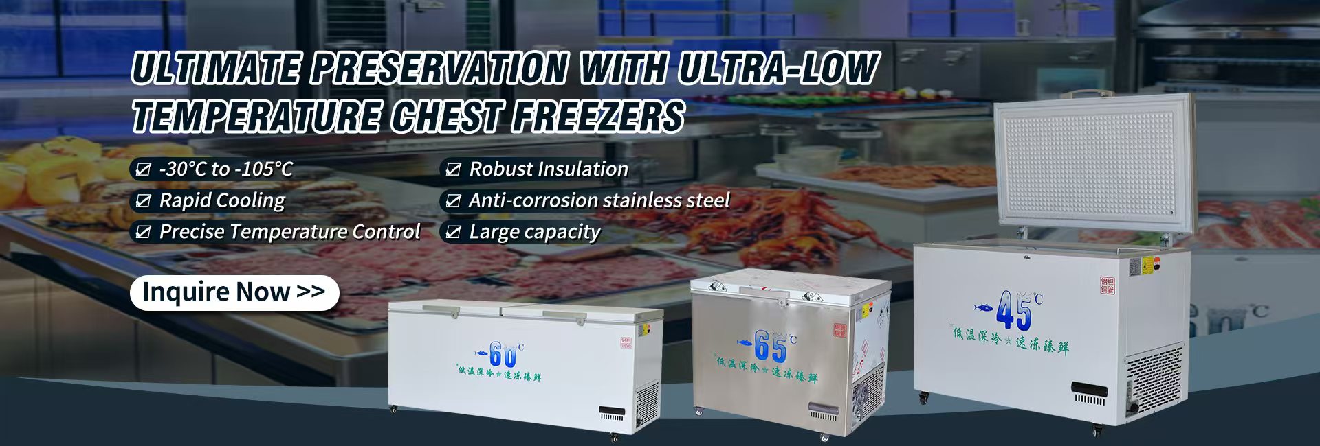960-2600mm Length Ultra-Low Temperature Freezer for Seafood -45 -60 Degrees Celsius