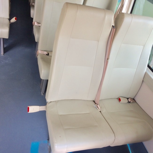 Auto Transmission Zero Emission 30 Seater Coaster Bus With DANA Axle