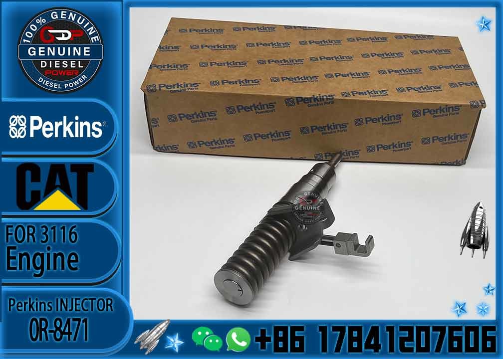 Excavator Parts CAT 3114 3116 3216 Engine fuel injector fuel injector 4P-2995 6I-3669 0R-8471 0R-8475 0R-8473