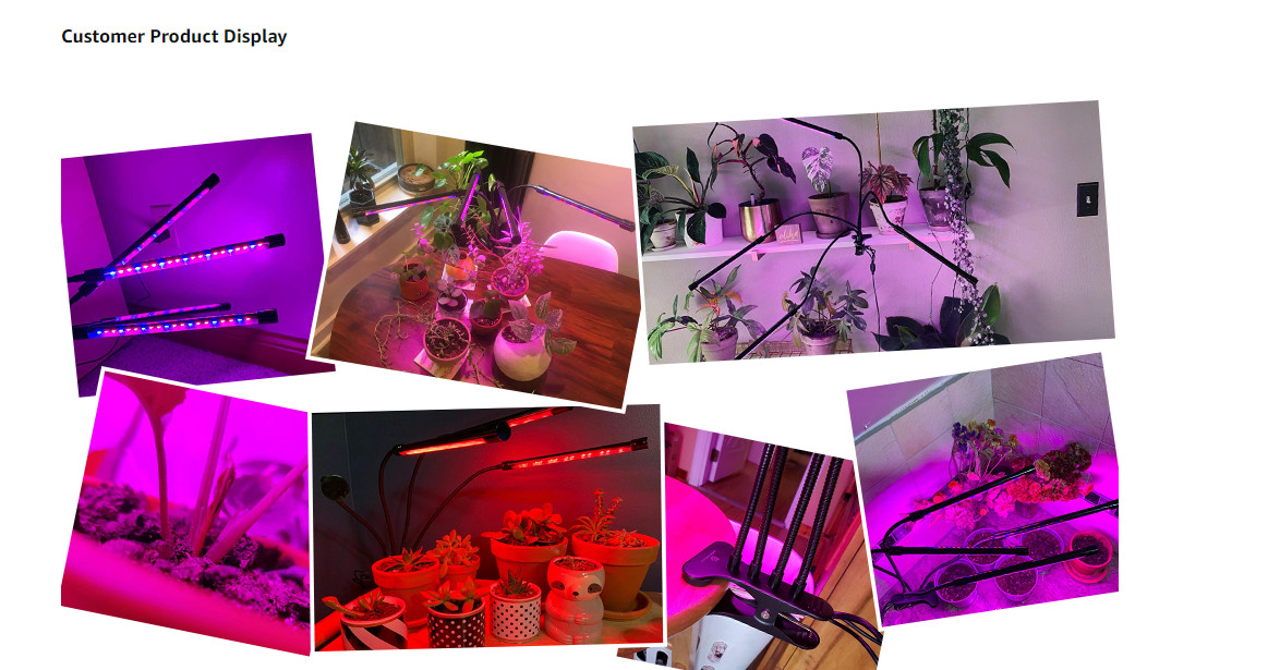 XPG Package 3W 500nm 505nm LED Grow Light Chip For Plant Growth Light