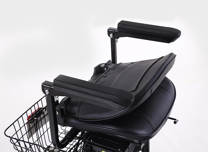 48V 300W Motor Power 12 Inch Electric Tricycle 3 Wheel Electric Bike for Adult Cargo