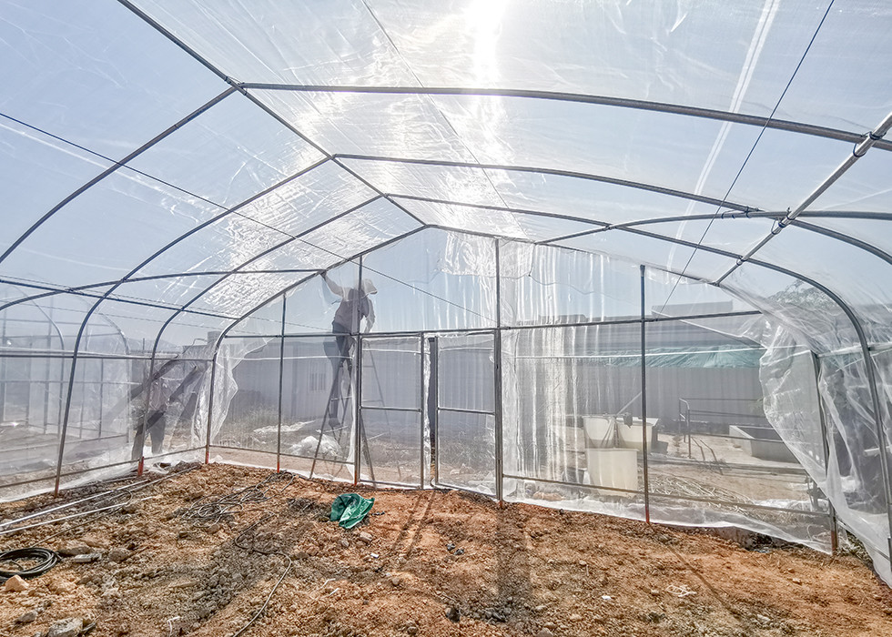 Reliable High Tunnel Large Poly Tunnel Transparent Film Tall Enough For Vertical Farming