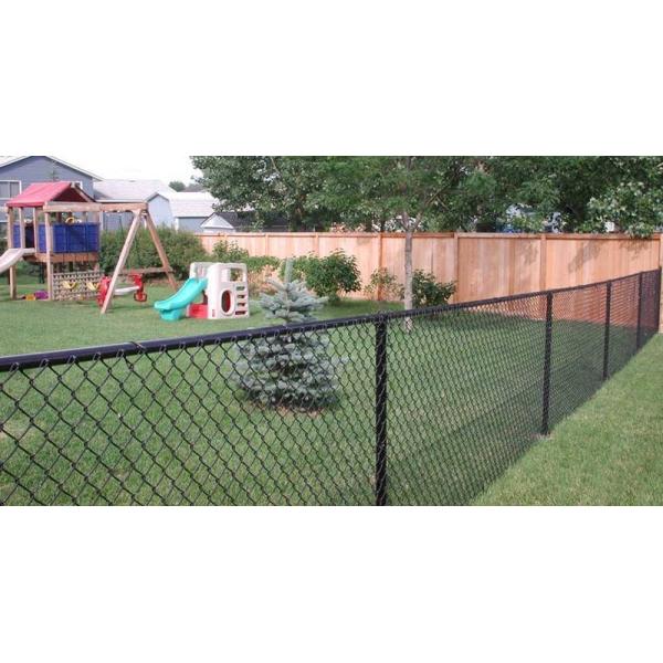 Vinyl Coated 6 feet Chain Link Fence/Chain Link Fabric
