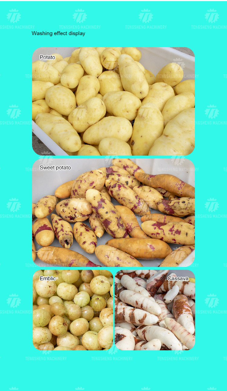 380KG Seal cover lotus root hair roller cleaning machine potato peeling machine stainless steel cleaning equipment