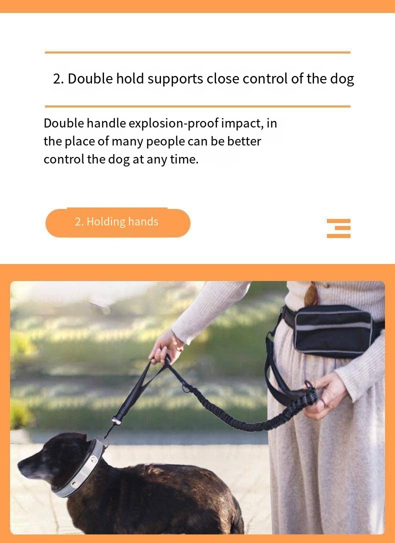 Pet Sports Running Reflective Material Leash Dog Double Handle Leash With Waist Bag Set