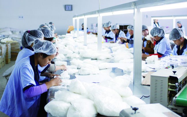 Disposable Vinyl Gloves Powder Free , Disposable Medical Gloves Infection Control