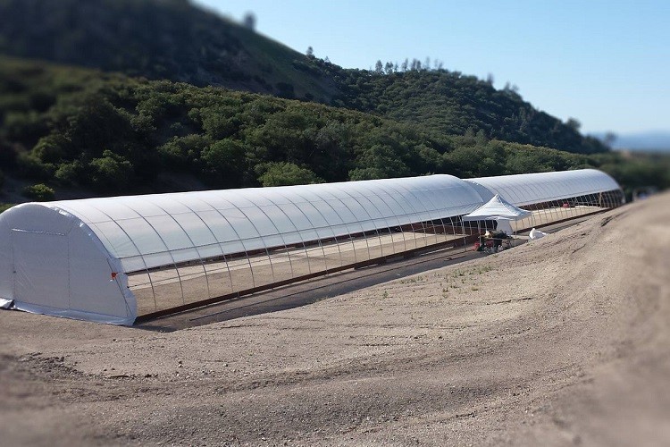 100 Micron PE Film Greenhouse Single Layer Plastic Tunnel Greenhouse