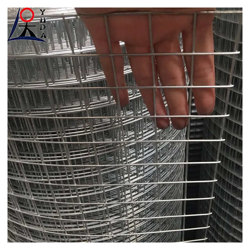 Electro Galvanized Welded Iron Wire Mesh And Hot Dipped Welded Wire Mesh