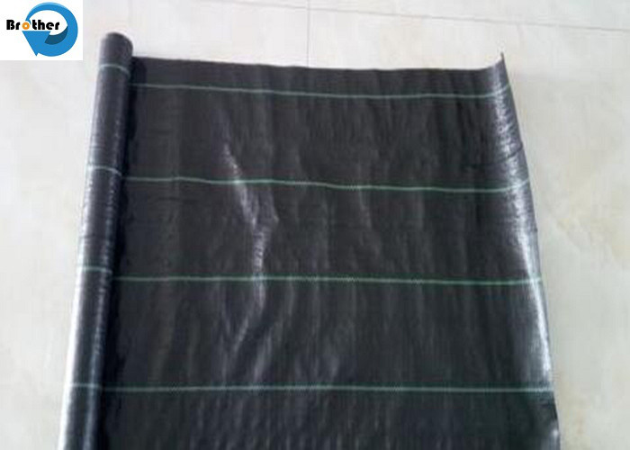 Weedmat /Weed Control Fabric /PP Woven Ground Cover /Ground Cover Fabric with UV