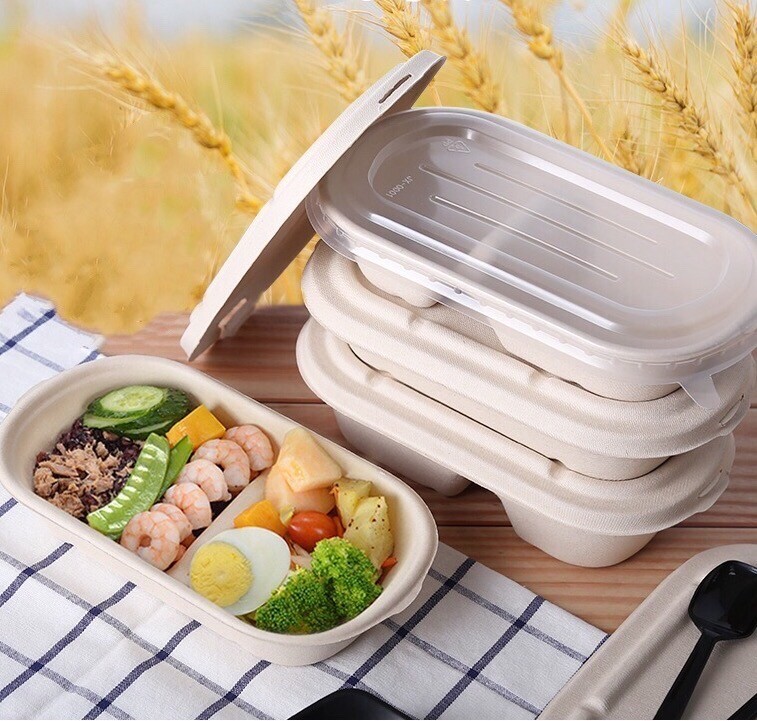 100% Compostable Food Container Sugarcane Lunch Box Bamboo Storage Boxes & Bins Eco-Friendly Multifunction