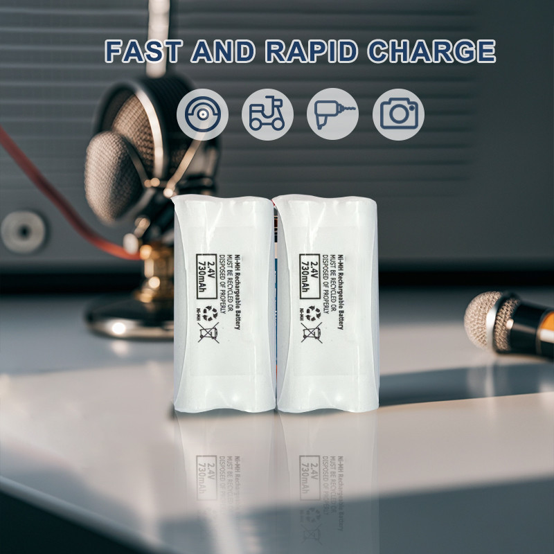OEM ODM NIMH Battery Pack AA 2.4v 730Mah NIMH Solar Battery