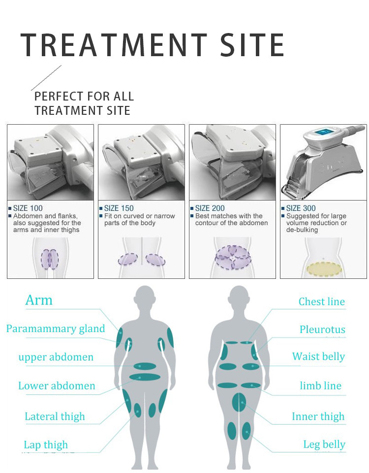 LF-202 4 handles fat reduce cryotherapy cryolipolysis slimming machine for sale