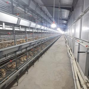 Buy cheap HDG Chicken Cage Equipment , 3 Or 4 Layers Poultry Battery Cage product