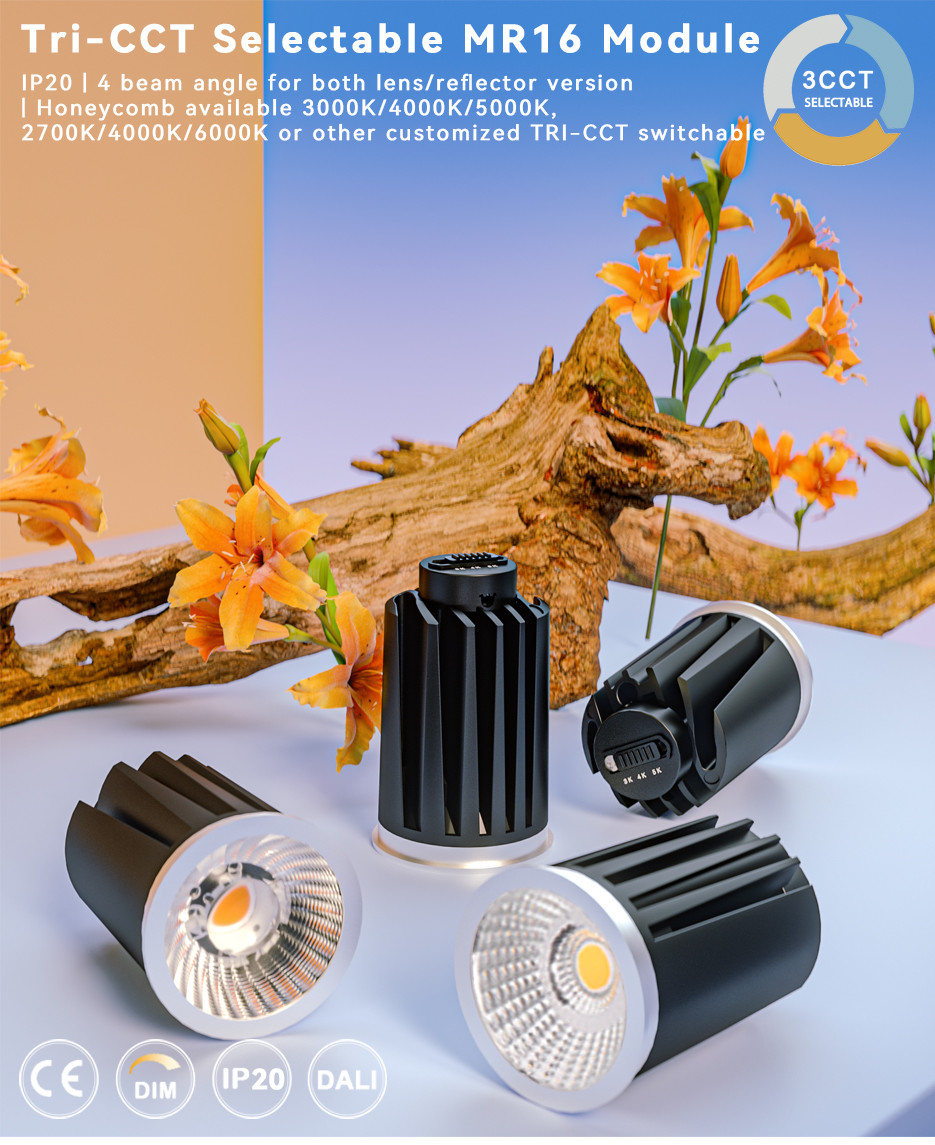 MR16 Module - 12W COB LED, Tri-CCT Adjustable (3000K/4000K/5000K, 2700K/4000K/6000K, Or Customizable)