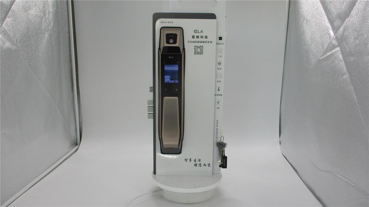 Home Tuya APP Smart Lock Sliding Wooden Door Lock Fingerprint