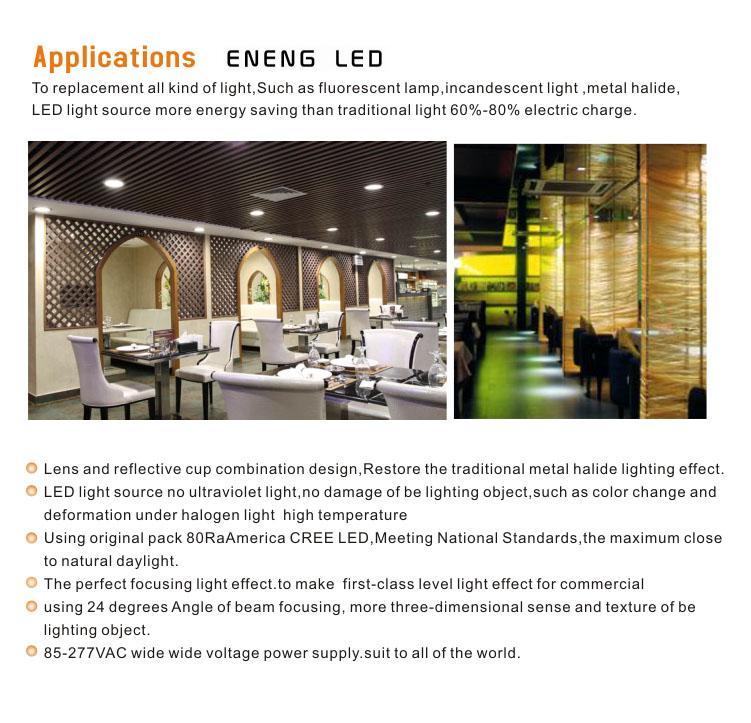 high lumens 85LM/W E27 12W led par30 spot light with cob led led par30 light Track lamp to Replace 50W metal halide