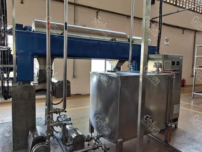 Industrial Mango Processing Line For Mango Juice Jam Stainless Steel machine 5 t/h