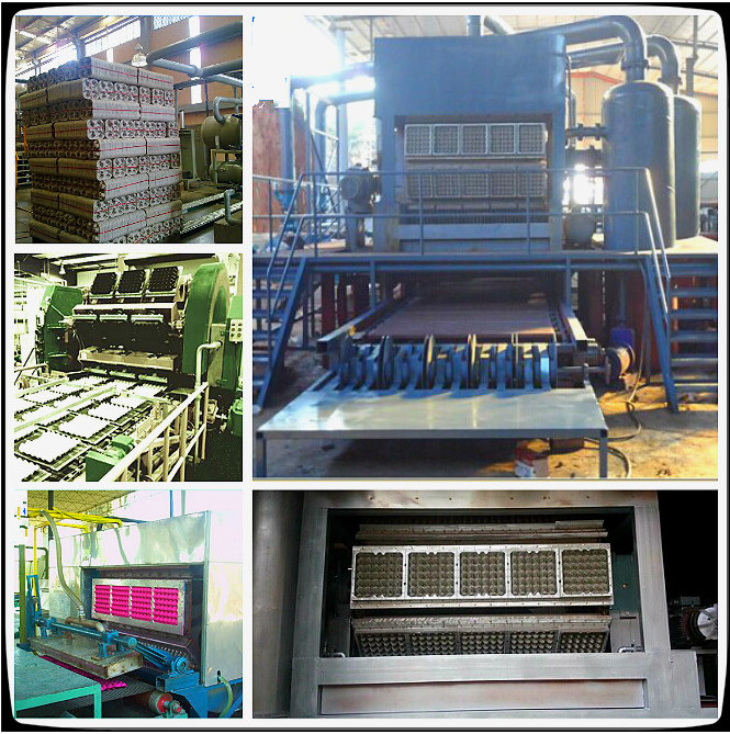 Carton Press Egg Plate Making Machine 10 Cells Recyclable Large Output
