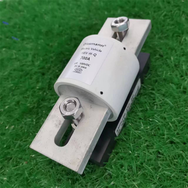 DC30ka Electric Vehicle Fuses High Breaking Capacity Fuse High Current 800amp Fuse in China