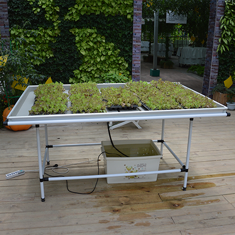 Vertical Seedling Systems Commercial Ebb/Flow System Agricultural Greenhouses