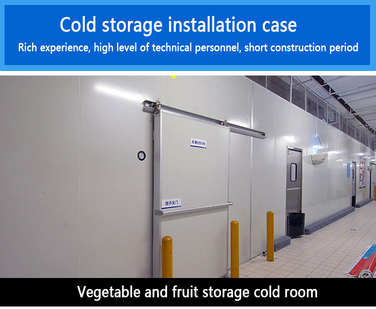 Lower Temperature Storage Container Cold Room Single Phase 800ton -40℃ ~ +20℃