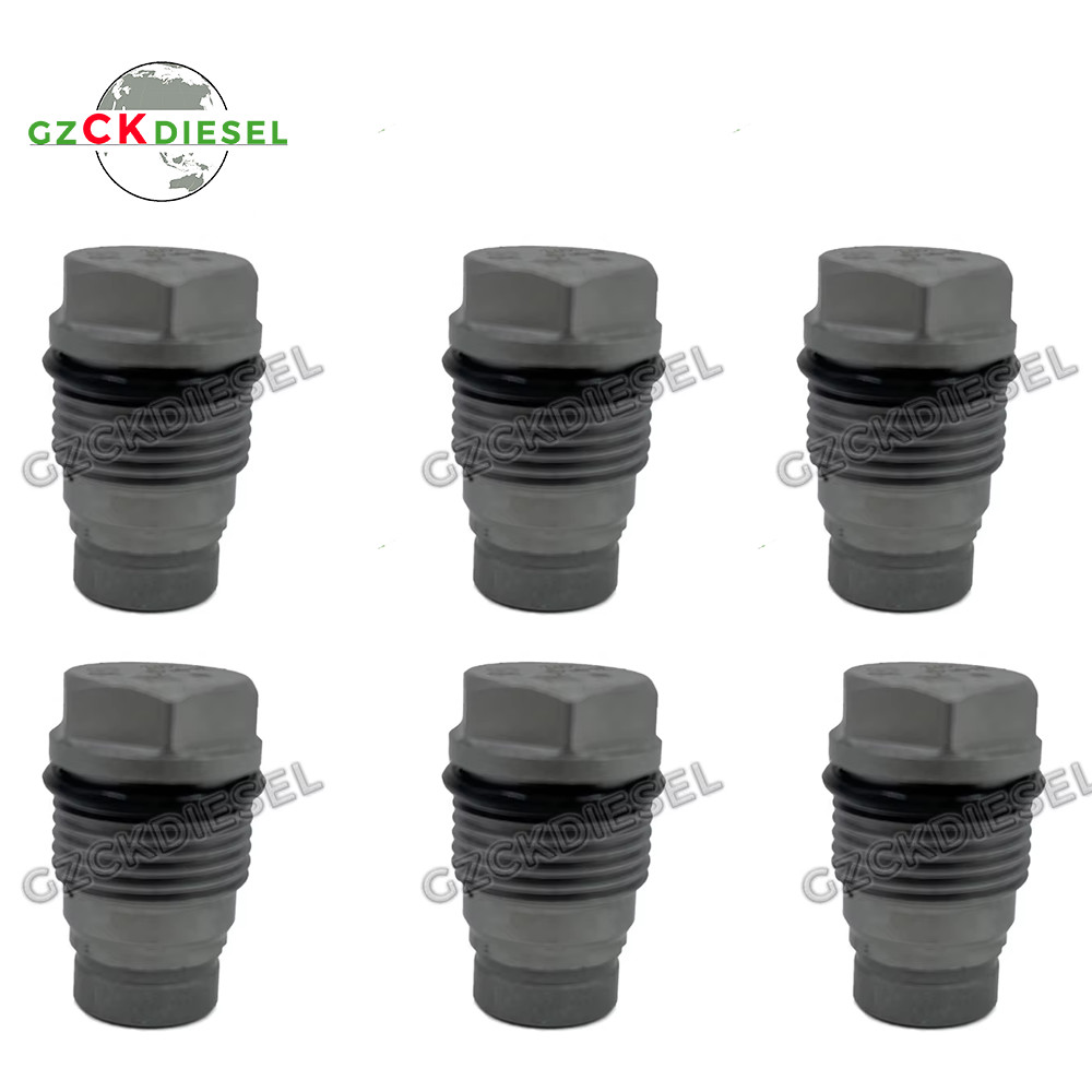 Fuel Pump Relief Valve Limiting Valve 1110010016 1110010017 1110010018 1110010024