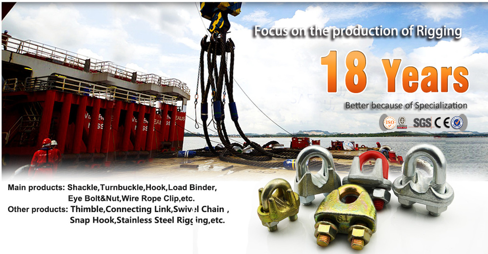 Rigging Fastener Galvanized Malleable Din1142 Wire Rope Clip