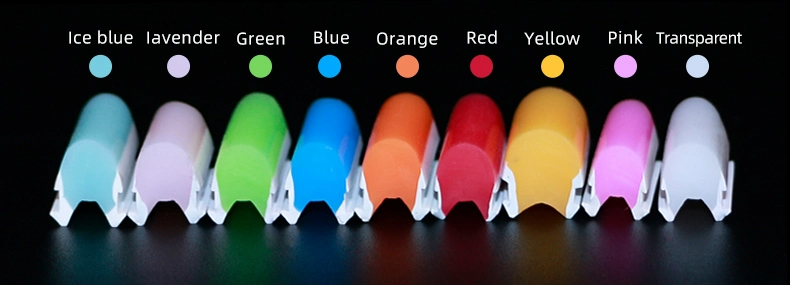 Silicone Extrusion Neon Lights 110V 127V 220V IP65 Waterproof 120leds/m SMD 2835 Led