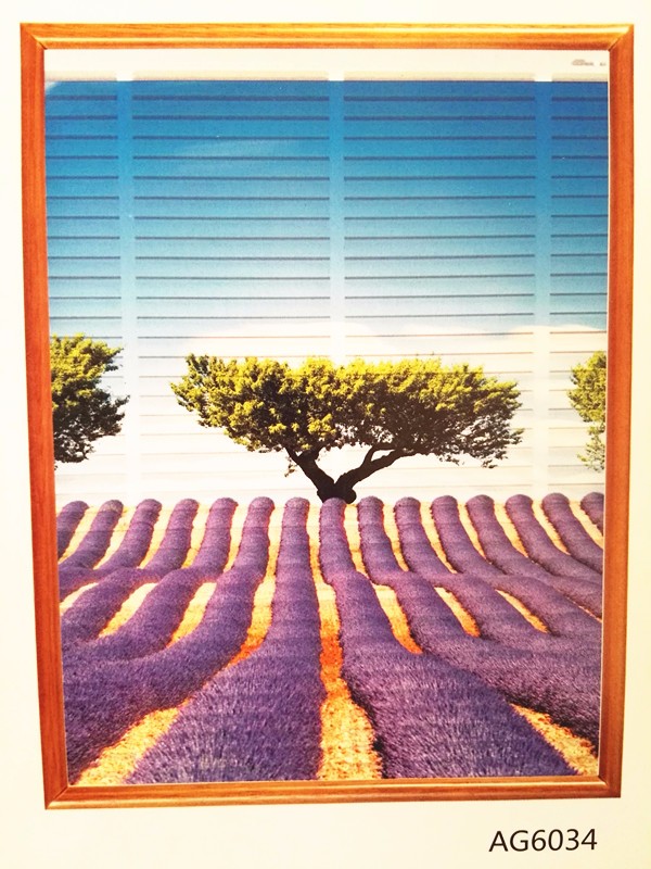 Zebra blinds fabric/Day and Night blinds/new design zebra blinds fabric