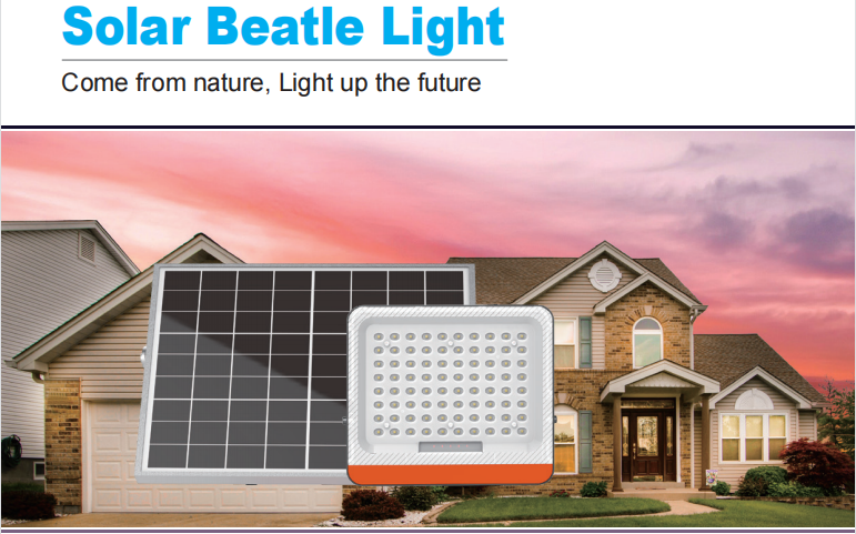 Integrated Solar Powered Street Lamp Monocrystalline Solar Beatle Light CE RoHS Certified