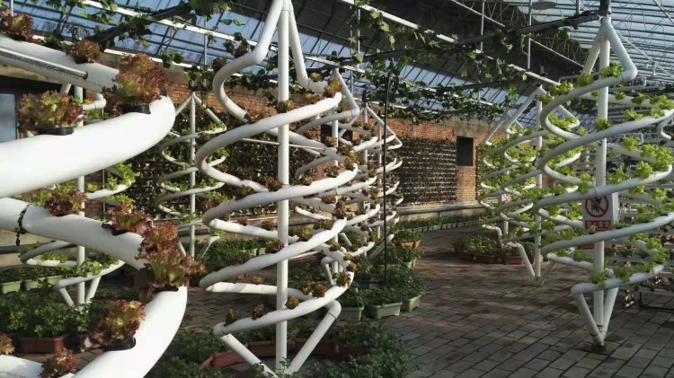 Vertical Spiral Plant Grow Hydroponic Tower Cultivation garden aeroponics System
