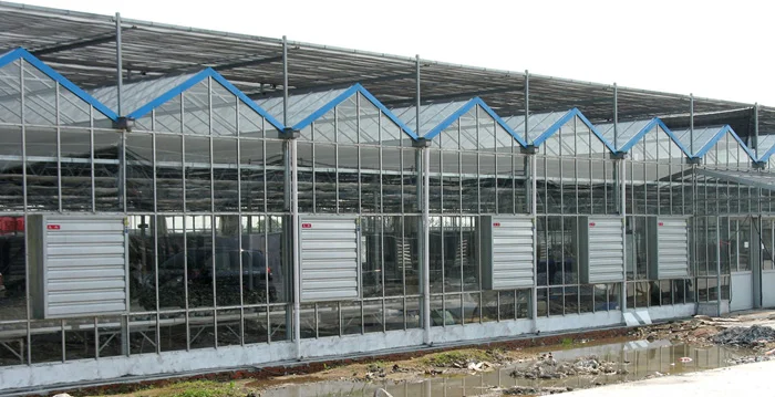 380/220V Poultry Industry Greenhouse Ventilation Exhaust Fan And Cooling Pad