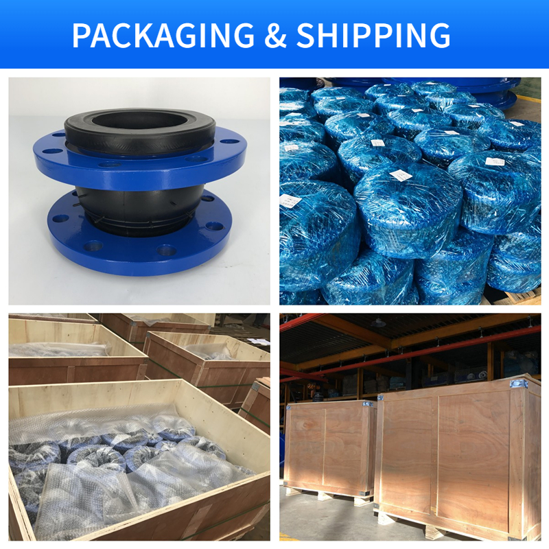 ANSI PN16 DN100 150 200 300 NR Rubber Expansion Joint with and Customized ODM Support
