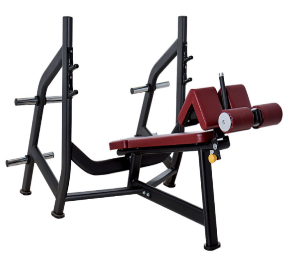 Wholesale Hot Sale High Quality Arm Curl Bench Gym Equipment Biceps Curl