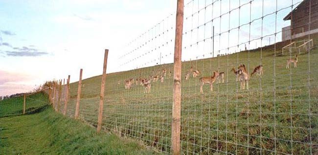 Premium Thick-Wrap Canvas Wall Art entitled Payson , field wire fence and Fence
