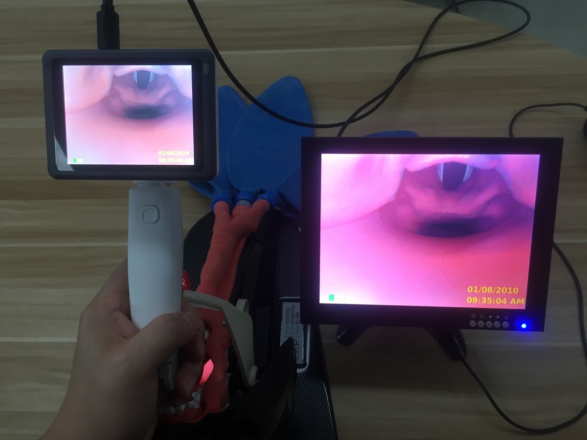 cheapest Reusable handheld Video Laryngoscope