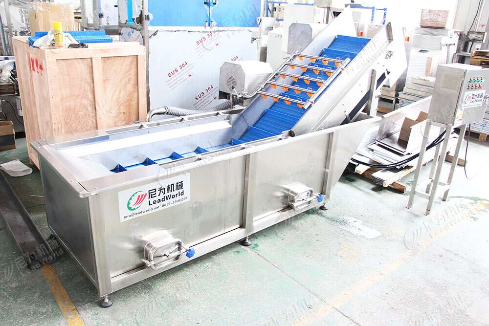 380V Vegetable Washing Line Green Pepper Chili Cleaning Machine