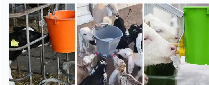 Calf Feeding Bucket Teat Bucket With Teat /Milk Bar calf feeder