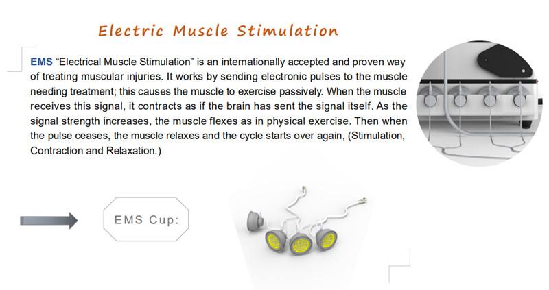 Pain Therapy Physio Shockwave System Ems Muscle Stimulator