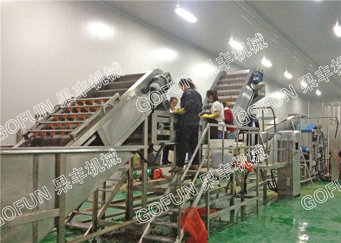 Commercial Grape Juice Production Machine SUS304 / 316 Material 1 Year Warranty