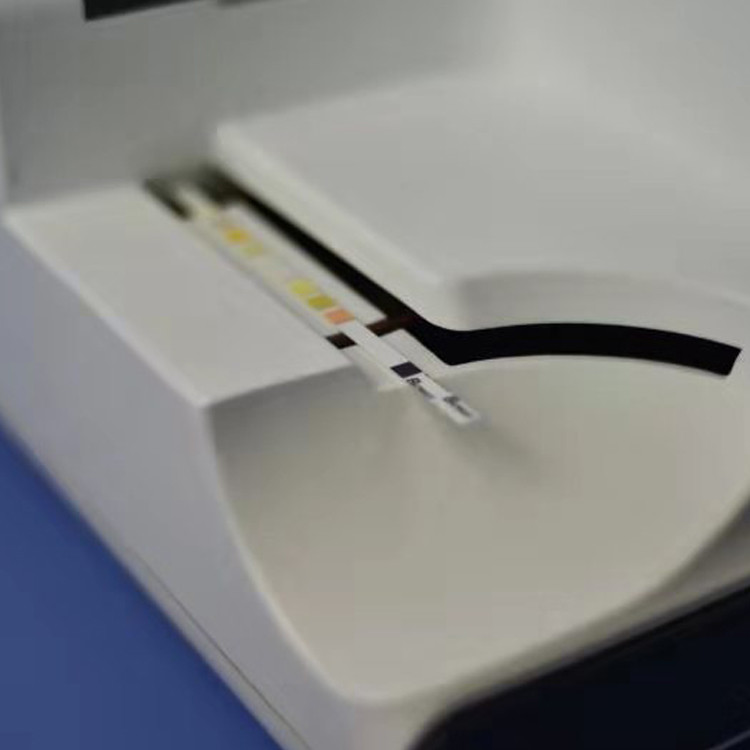BW300 Clinical Analytical Instruments Bilirubin Automated Urine Dipstick Reader