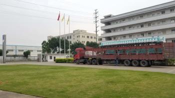 Foshan Dadongnan Electrical Appliance Co., Ltd