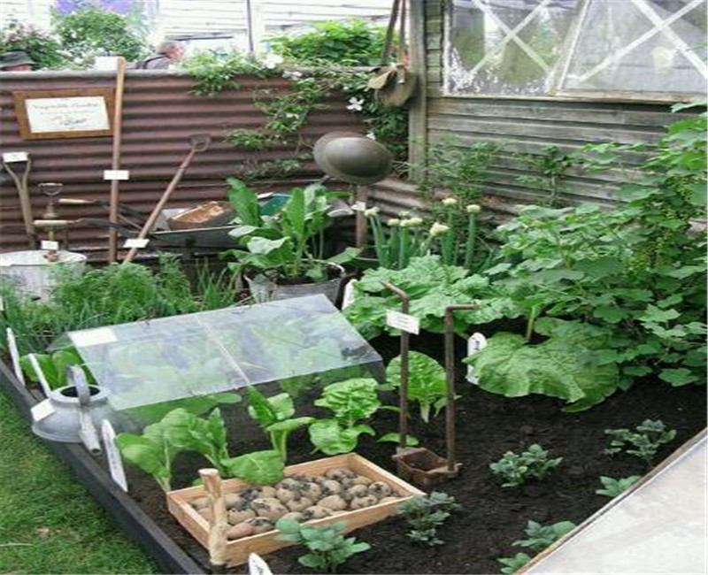 Galvanized Steel Horticultural Glass Greenhouse Waterproof Good Anti Corrosive Effect