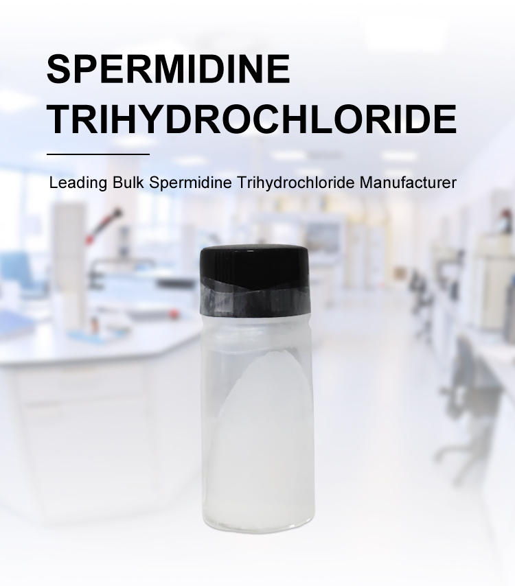 Tested Spermidine Trihydrochloride 98% Bulk Powder Wheat-Germ Extract Spermidine For Capsules