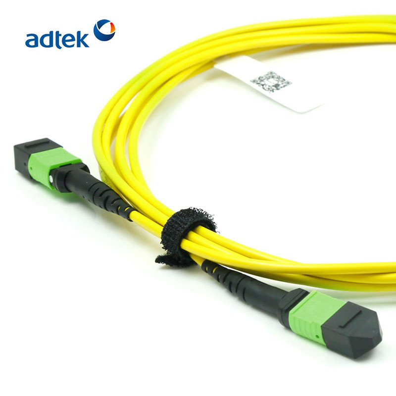 10G 40G MTP To MTP Cable OM4 Fiber Patch Cord Singlemode / Multimode Simplex