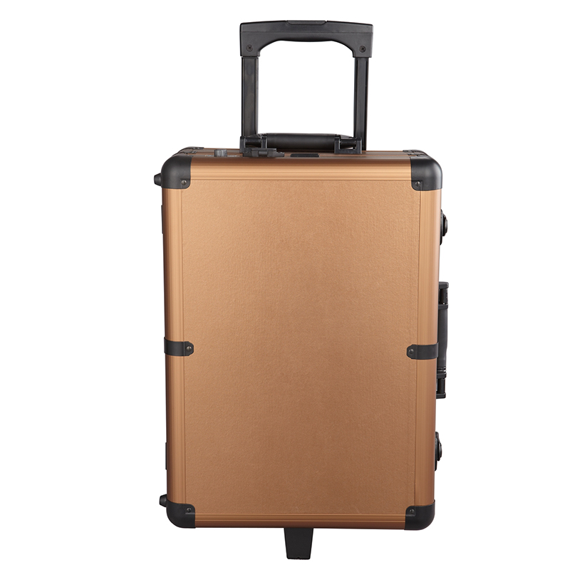 Large Capacity Makeup Case With Mirror And Lights For Makeup Manicure And Beauty Salon