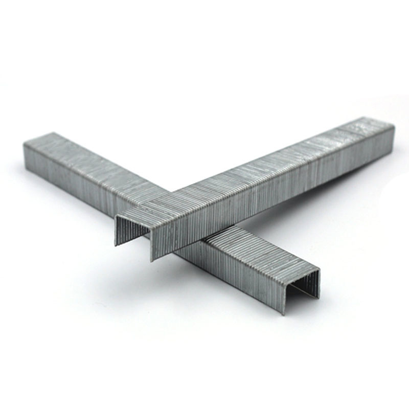 21 Gauge Staple 1/2 Crown 12mm 80 Series 8012 Furniture Decoration