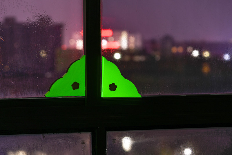 Eco-friendly Window Insect Trap and 2.0g Glue The Ultimate Beetle Control Solution