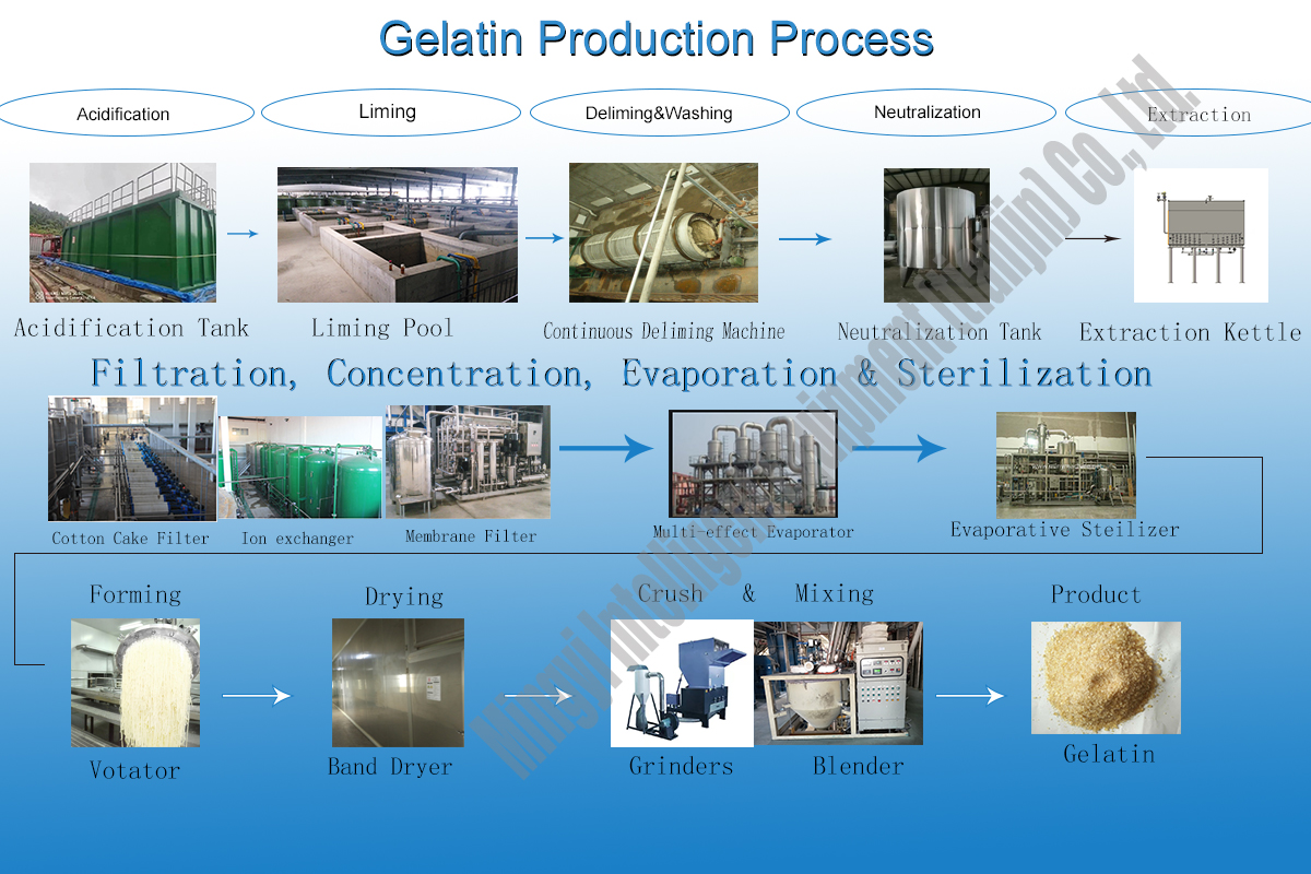 Plant Customized Multi-Effect Falling Film Evaporator with Stainless Steel Material